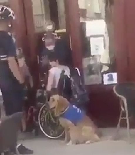 Une femme en fauteuil roulant et son chien se voient refuser l’accès à un café: “Une humiliation honteuse”