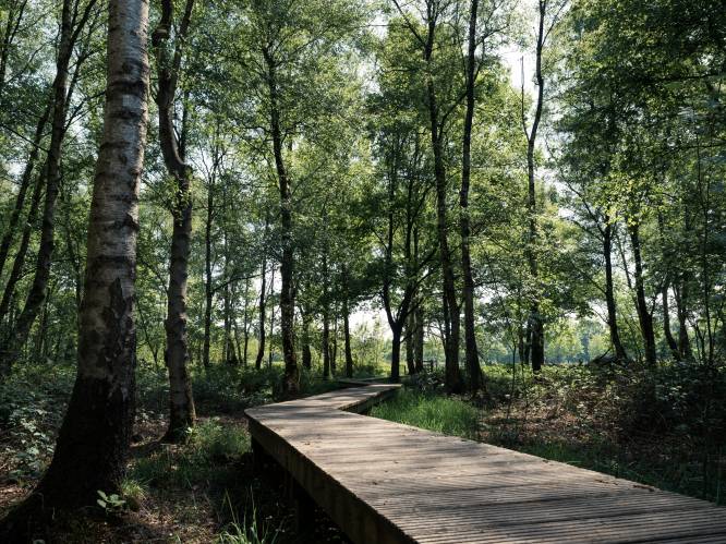Archeologiedagen in het Meetjesland: op de fiets doorheen het cuestalandschap