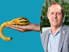 Pourquoi certains pénis sont-ils courbés? "Par ‘trop tordu’, nous entendons un angle supérieur à 30 degrés” 