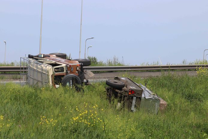 Le conducteur a perdu le contrôle à Waalwijk, causant des dommages irréparables à l'ancien.