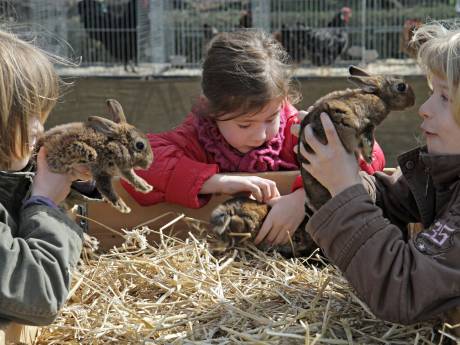 SP Oss pleit voor behoud van natuurlessen op Slabroek: ‘Bos is anders dan kinderboerderij’