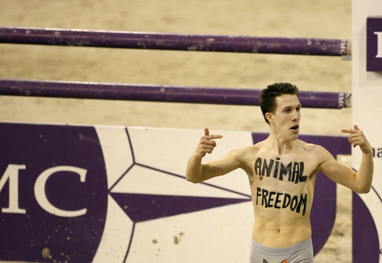 Peter Janssen, beter bekend als de Vegan Streaker, springt in de bres tegen stierengevechten, hier  in Spanje. Beeld anp