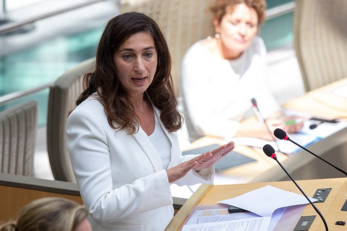 Vlaams minister van Energie Zuhal Demir (N-VA).