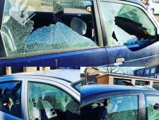 Ruim twintig voertuigen vernield in Den Bosch, 25-jarige man aangehouden
