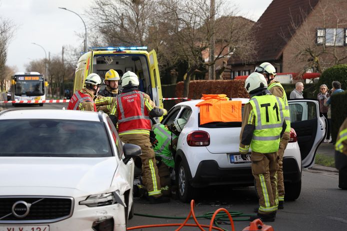 Het ongeval gebeurde op de Houtlaan in Brecht.