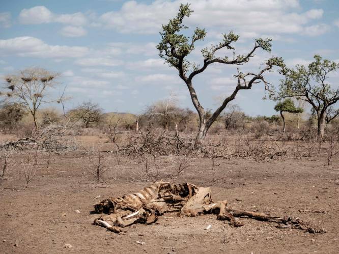 Onderzoek: bodem in de Hoorn van Afrika historisch droog door opwarming van de aarde