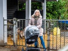 Lisette begeleidt mensen met dementie: De frustratie van het ziek zijn, komt los tijdens het schilderen’