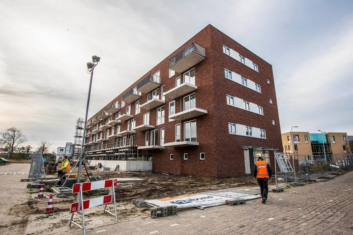 Sociale uurwoningen aan de Professor Holwerdalaan in Naaldwijk.