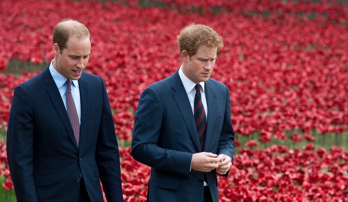 William en Harry in 2014.