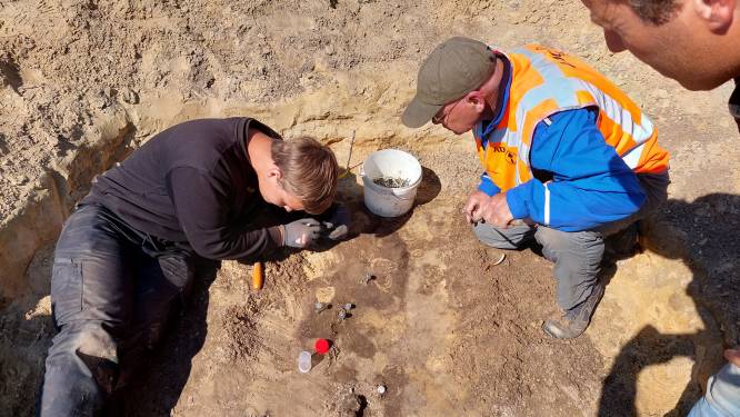 Archeologen treffen doel in Hilvarenbeek: ‘Dit maak je maar één keer in je leven mee’