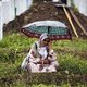 Servië gaat boete doen voor Srebrenica