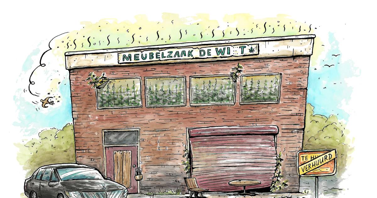 ‘Meneer, ik betaal u dubbele huur om hier wiet te verbouwen'.
