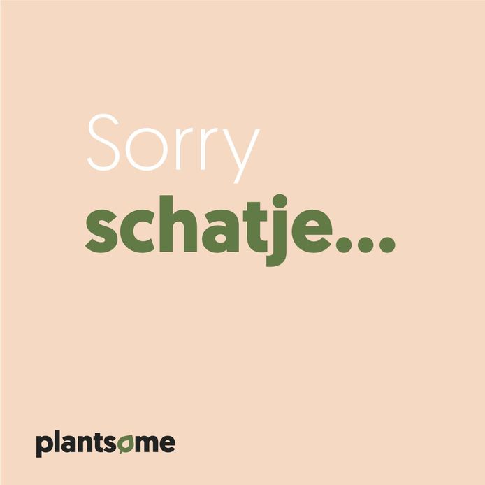 De excuses van Plantsome op hun LinkedIn-pagina.
