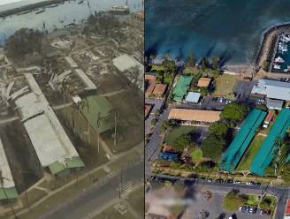 KIJK. Indrukwekkende beelden van voor en na de bosbranden tonen totale verwoesting van paradijselijk eiland, dodentol loopt op tot 67