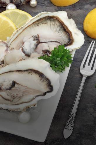 Hoe open je oesters correct? Waar kan je de beste eten en kopen?  Lees alles over deze zilte delicatesse in ons oesterdossier