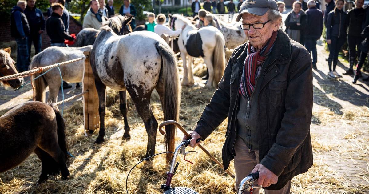 Paardenhandelaar van het eerste uur, Foks Jos, klaagt in Denekamp: ‘Dit gaat allemaal veel te ver’