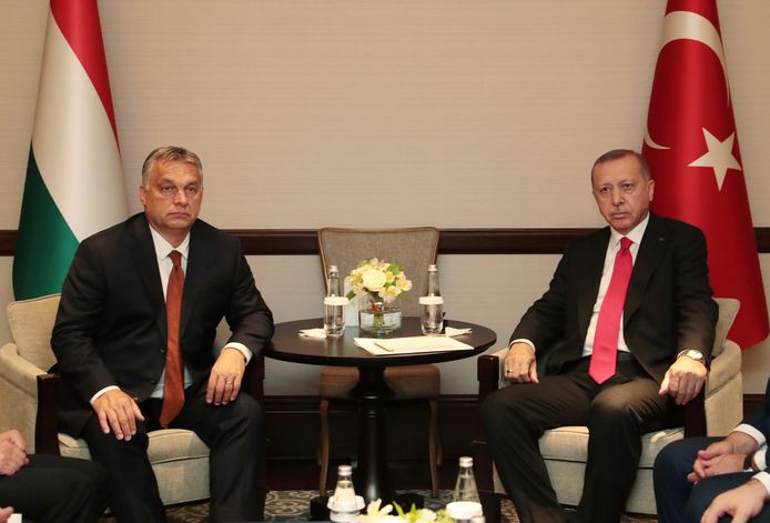Orban en Erdogan tijdens een ontmoeting op 14 oktober.