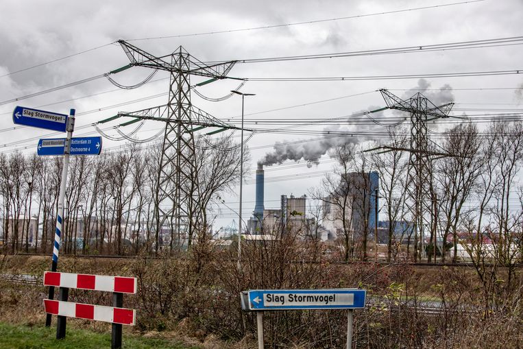 null Beeld Raymond Rutting / de Volkskrant