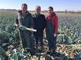 Tekort aan seizoensarbeiders dreigt drama te worden voor West-Vlaamse landbouw: “Duizenden Polen en Roemenen maakten vorige week rechtsomkeer”
