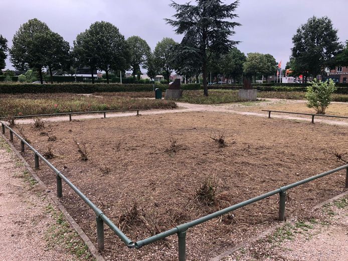 Zo ziet het rosarium er nu uit.