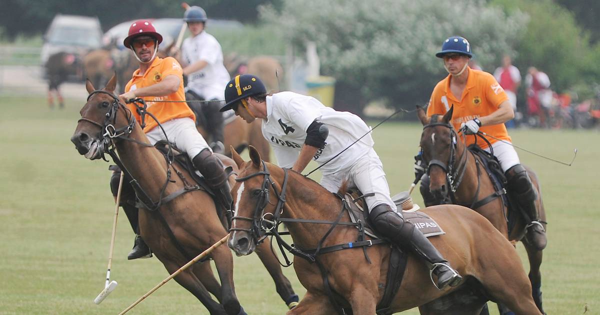 Polo in Aagtekerke op een weide die vlakker is dan een voetbalveld