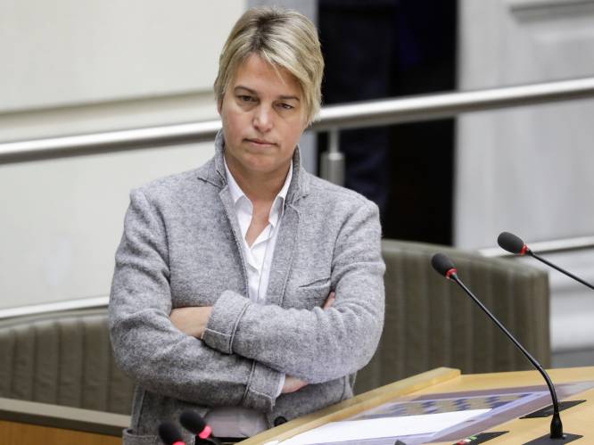 “Mijn uitspraak klopt niet maar ik heb niet gelogen”: Schauvliege excuseert zich nadat ze klimaatprotest opgezet spel noemde