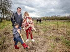 300 Brugse kindjes planten samen met hun ouders 1.500 geboortebomen in het Beisbroekbos: “We komen jaarlijks terug met Billie naar hier”