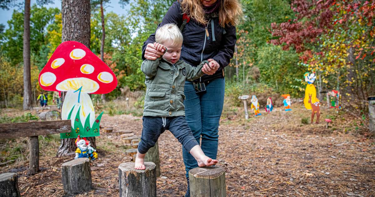 Spelen, zingen en tellen bij de kabouters in het bos in Wintelre