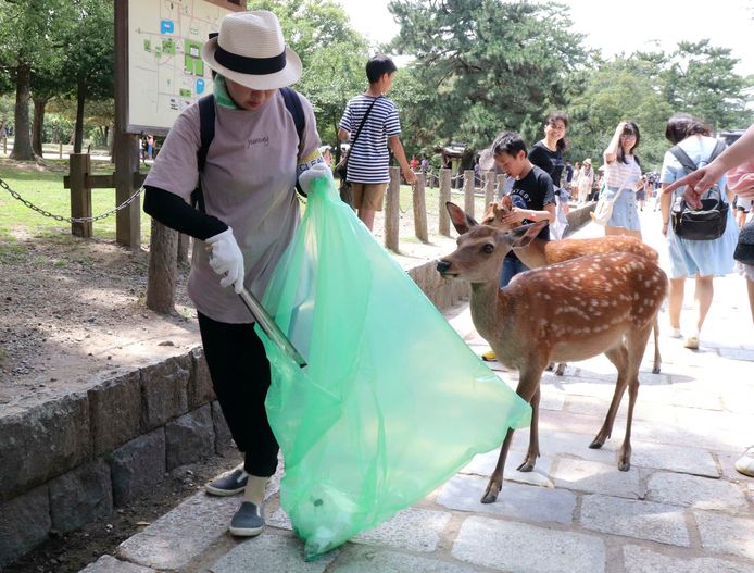 Een vrijwilliger ruimt plastic op in het bekende Japanse Nara Park.
