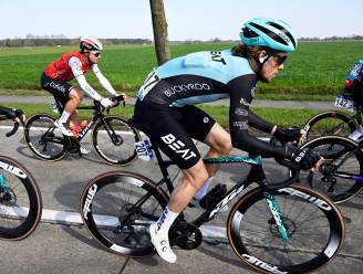 KIJK. Van der Poel noemt Scheldeprijs "perfecte voorbereiding" op Roubaix, ondanks vervelend moment door vogel: "Nog nooit meegemaakt”