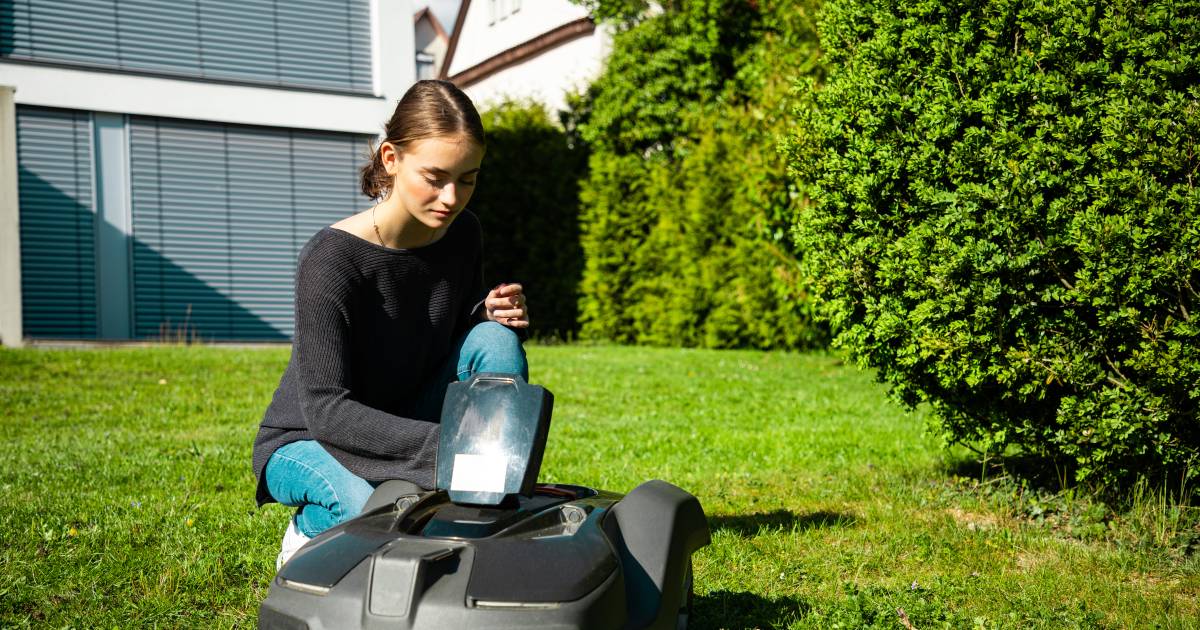 gaan beslissen Clam Tenen Je gras automatisch laten afdoen door een robotmaaier? Zoveel kost dat aan  elektriciteit | MijnGids | hln.be