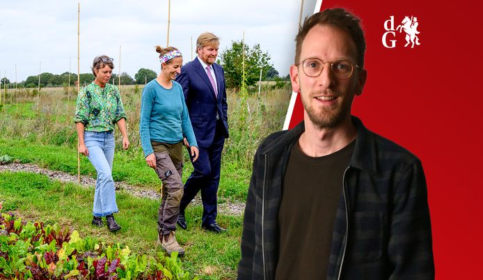 Boom belandt op bestelbus pakketbezorger