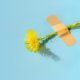 Wel of geen pleister op een wondje: wat is beter?