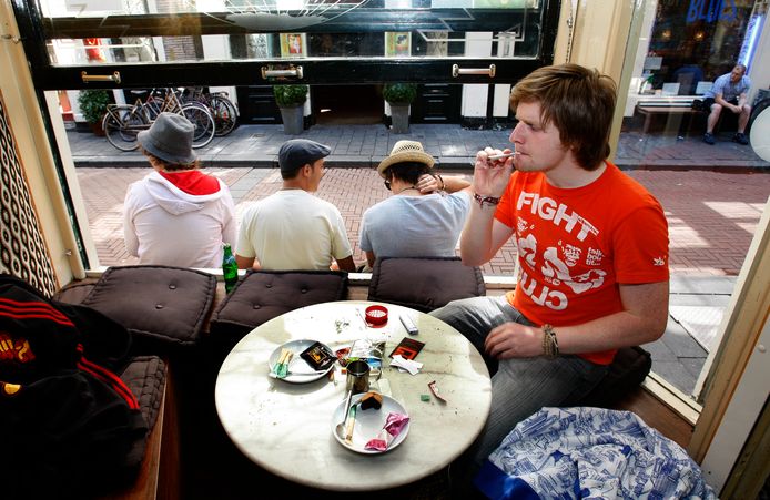 запрет на наркотики в голландии запрет на наркотики в голландии