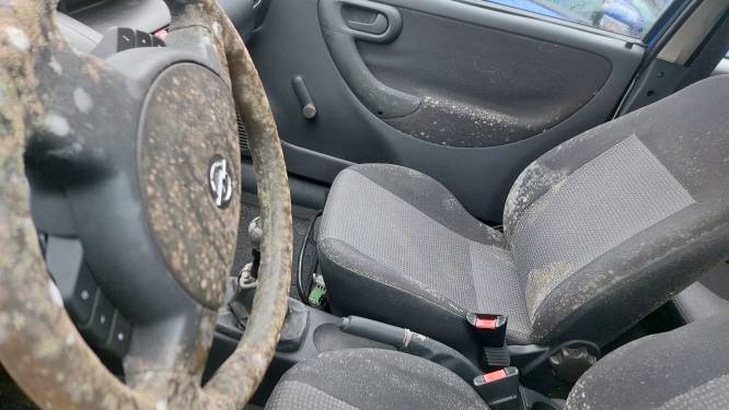 Jakkes! De eigenaar van deze beschimmelde spookauto moet snel poetsen of betalen