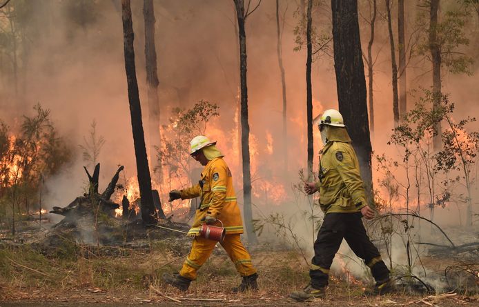 De bosbranden in Australië hebben al aan minstens 24 mensen het leven gekost.