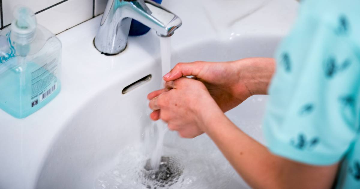 E-coli bacterie zit al dag in water in delen van Zuidoost ...