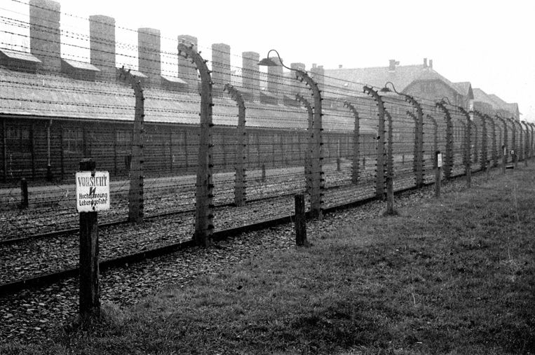 Het vernietigingskamp Auschwitz-Birkenau tijdens de Tweede Wereldoorlog. Beeld Roger Viollet via Getty Images