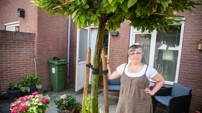 Desiree: ‘Ik heb weinig inkomsten omdat het UWV vond dat ik gewoon kan werken’