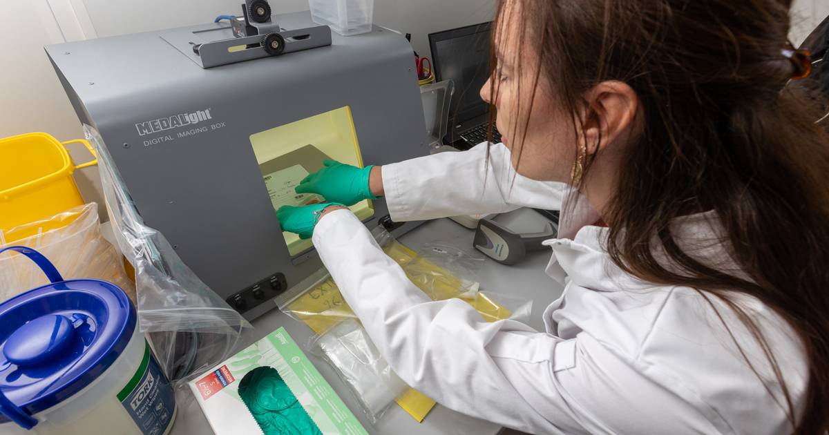 Extrema waarschuwt voor levensbedreigende xtcpillen Houthalen