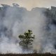België strijdt mee tegen bosbranden in Amazonegebied
