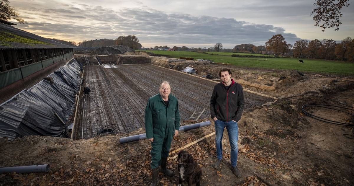 Uitplaatsing hangt als Zwaard van Damocles boven melkveebedrijf in Hezingen