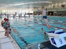 Te weinig baden voor vrij zwemmen in Amersfoort: ‘Bouw nieuw bad of verwarm Bosbad’