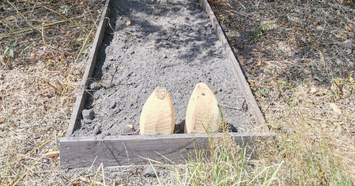 Buurvrouw schrikt zich een hoedje door ‘boerengraf’ op eenzame plek bij Sibculo: ‘Dacht dat het een 