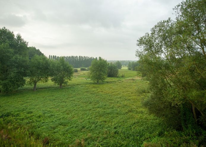Het natuurgebied Rijvissche maakt deel uit van het Parkbos.