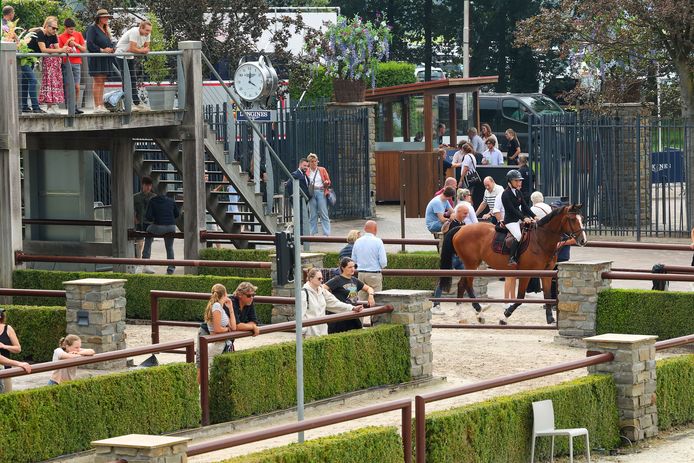 Paardenman Jan Tops snapt verzet tegen hotelplan met zestig kamers en ...