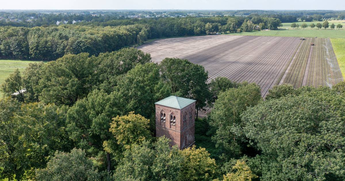 Bosjes met brandnetels maken plaats voor kerkmuren bij restauratie Oude Toren