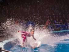 Dolfinarium stopt met showelementen in voorstellingen