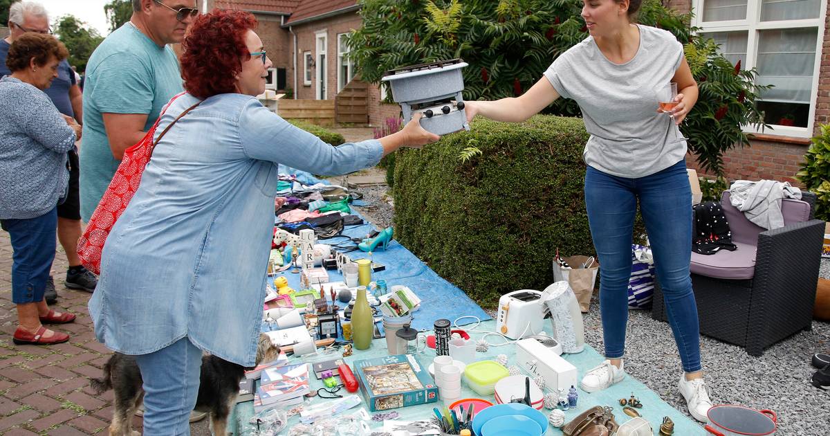 Dorpsfeest Zuidzande viert woensdag twintigjarig bestaan