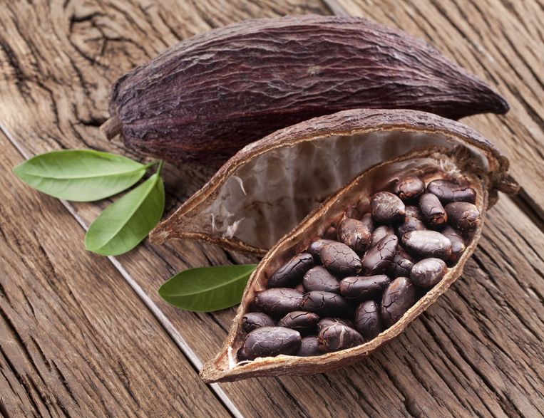 Cacaobonen zijn rijk aan antioxidanten. Bij het roosteren gaan die verloren. Beeld THINKSTOCK